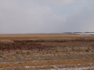 Shark Teeth or Iowa Cornfield? Slurry Control Chart Tips